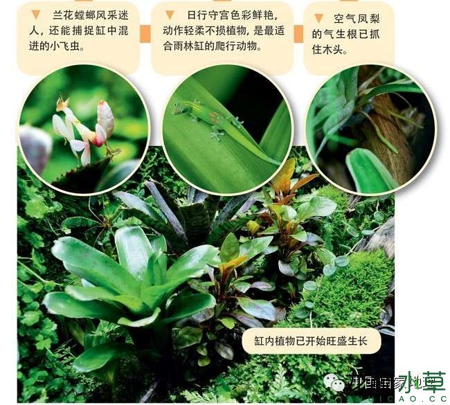 图片9.jpg